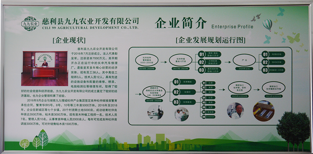 慈利縣九九農(nóng)業(yè)開(kāi)發(fā)有限公司,張家界粘木苗銷(xiāo)售,杜仲種植,苗木銷(xiāo)售